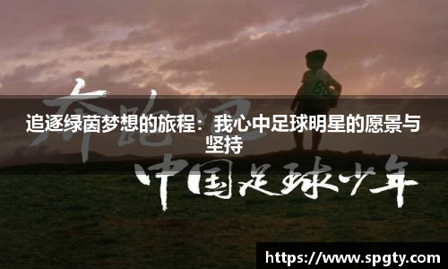 追逐绿茵梦想的旅程：我心中足球明星的愿景与坚持